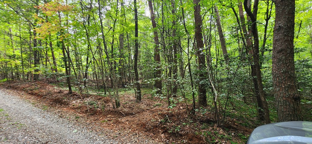 Lot 44 Old Mill Pond Road