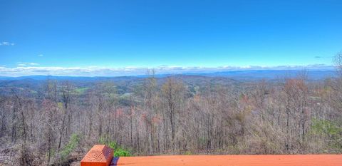 A home in Brasstown