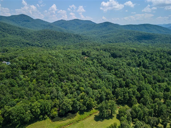 Vacant Tipton Springs Road