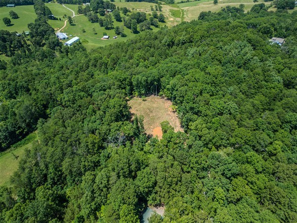 Vacant Tipton Springs Road