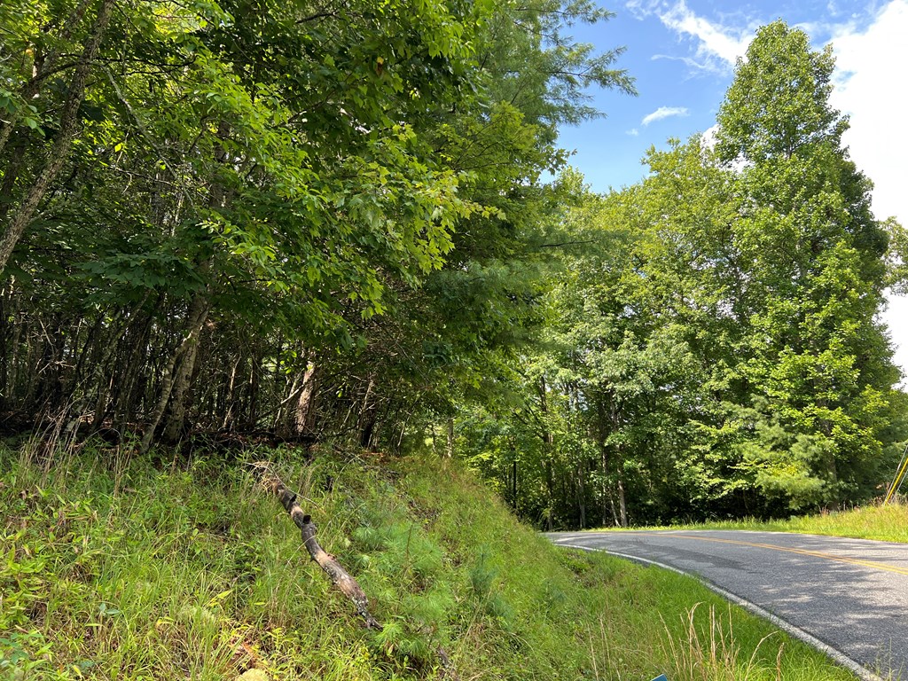 00 Pine Log Church Road