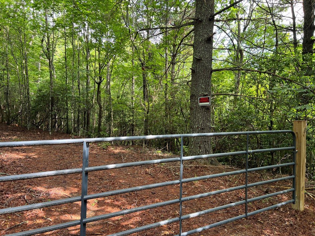 00 Pine Log Church Road