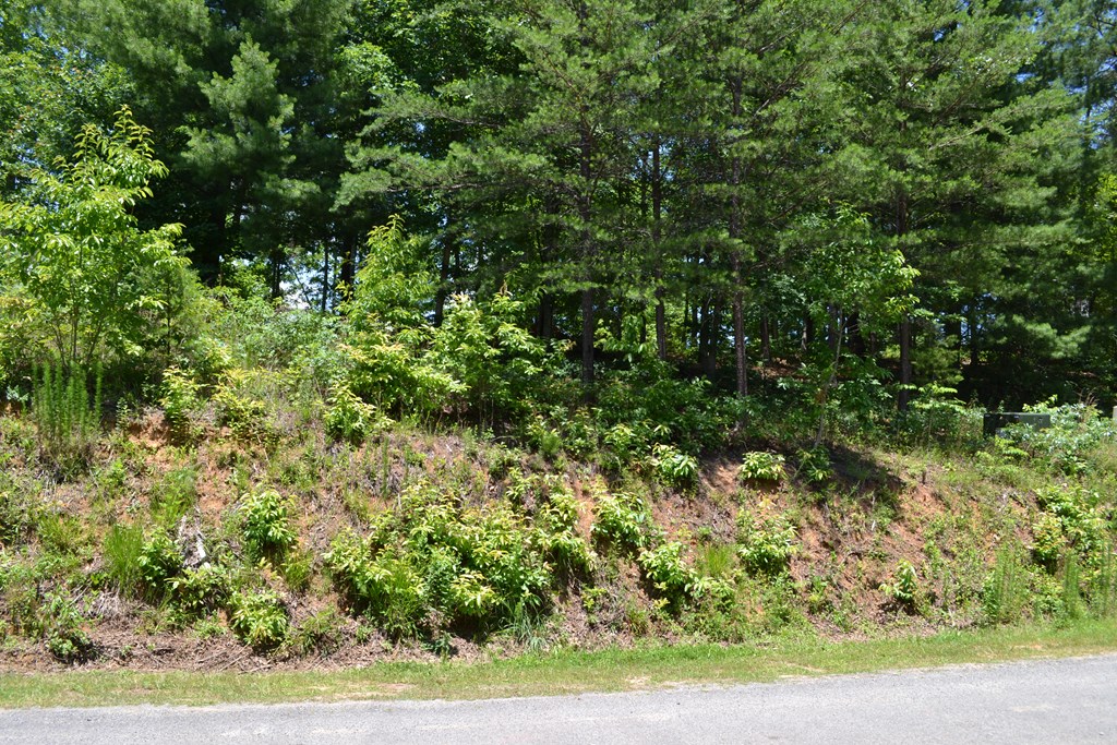Lot 190 SE Trails End Way