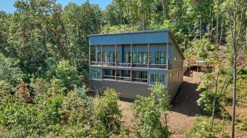 316 Blue Sky Drive Blue Ridge GA 30513