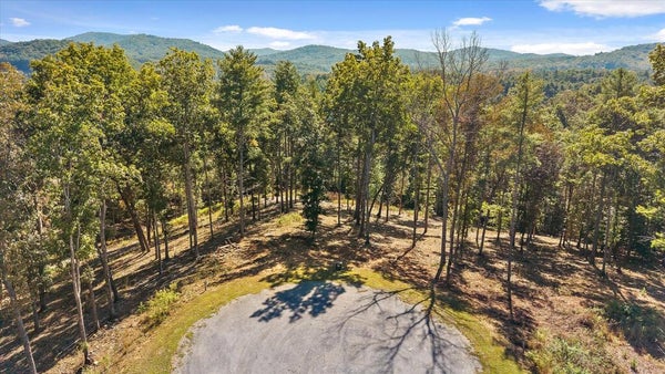 LOT 101 SOUTH WIND COURT, MORGANTON, GA 30560 - Image 92379d2dd0fc01fc8fb8fc34721908a4/3492059402