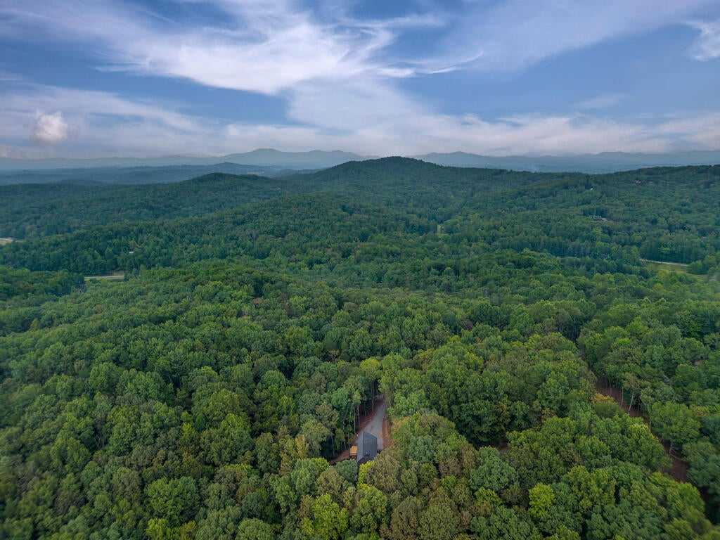 63 Laurel Trace