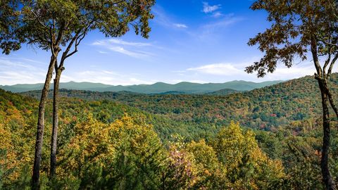 A home in Blue Ridge