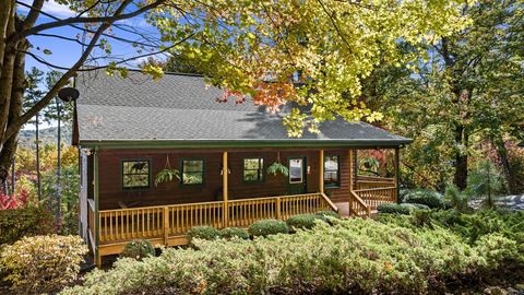 A home in Blue Ridge