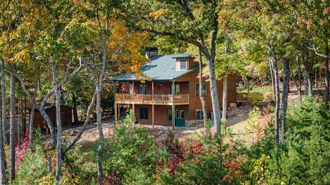 A home in Blue Ridge