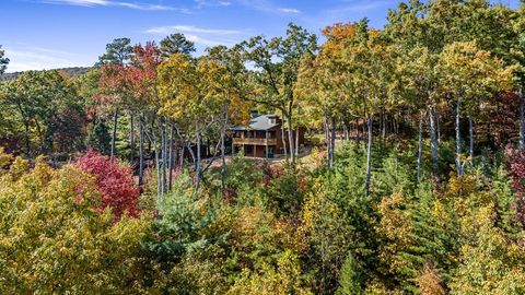 A home in Blue Ridge