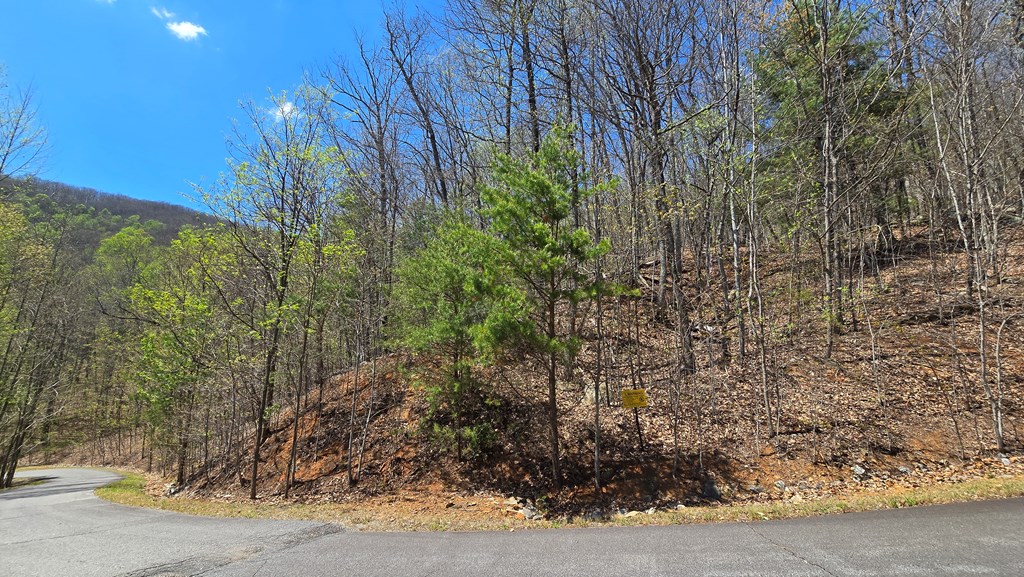 Lot 18 Overlook Loop