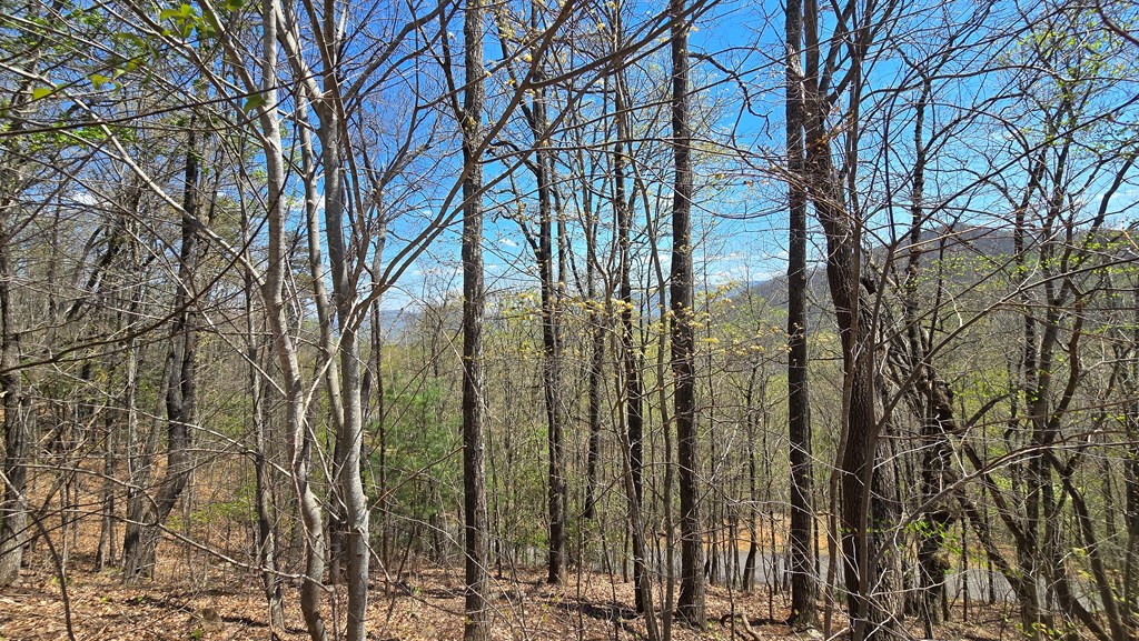 Lot 18 Overlook Loop