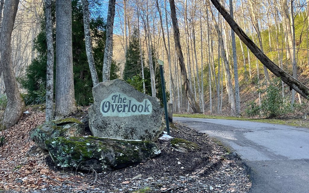 Lot 18 Overlook Loop
