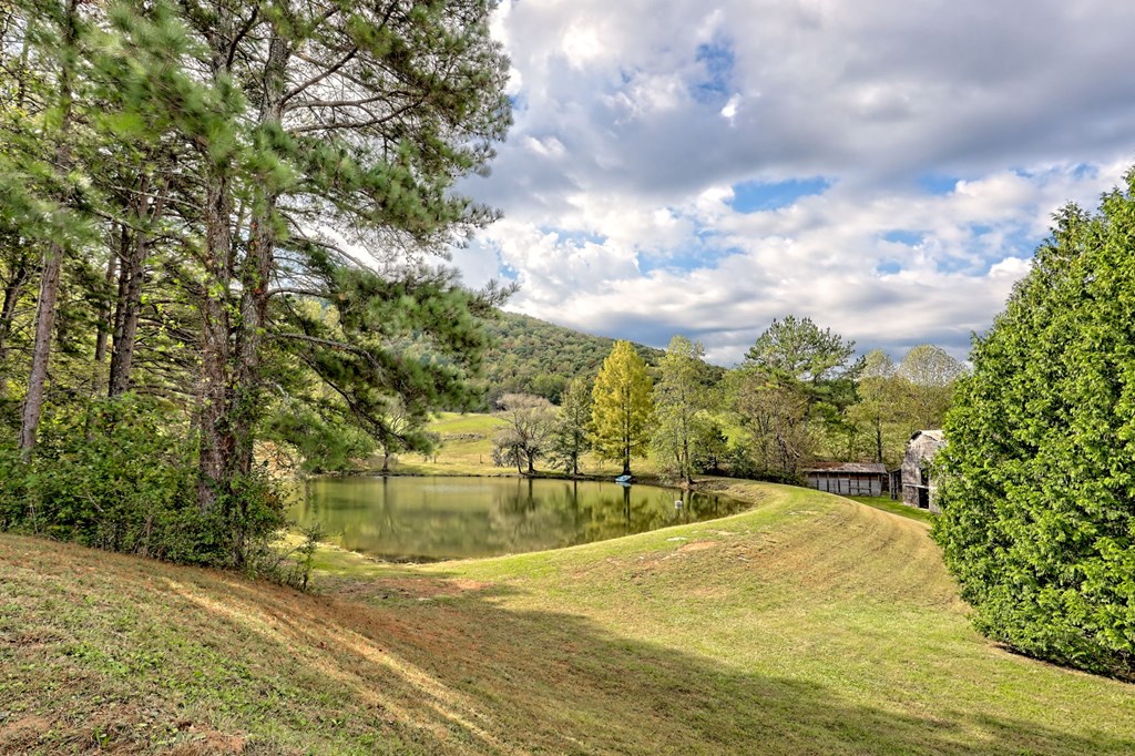 Warne, North Carolina, 28909, United States, 5 Bedrooms Bedrooms, ,6 BathroomsBathrooms,Residential,Active,1968121