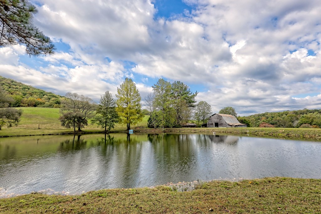 Warne, North Carolina, 28909, United States, 5 Bedrooms Bedrooms, ,6 BathroomsBathrooms,Residential,Active,1968121