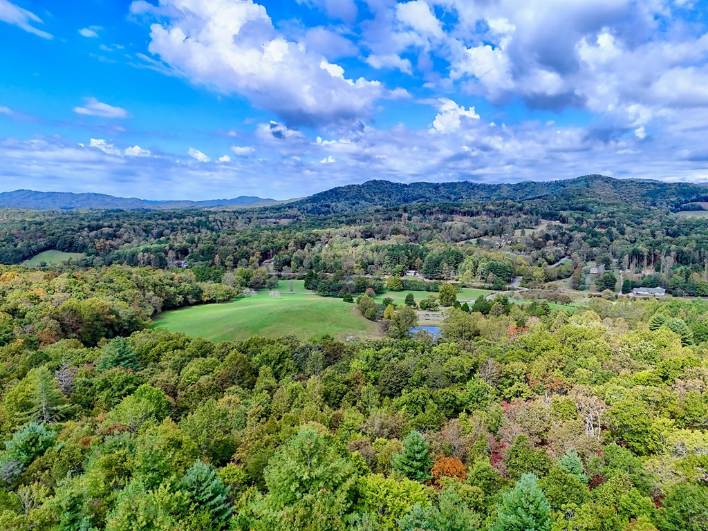 Warne, North Carolina, 28909, United States, 5 Bedrooms Bedrooms, ,6 BathroomsBathrooms,Residential,Active,1968121