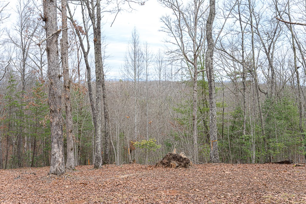 305 Antler Lane
