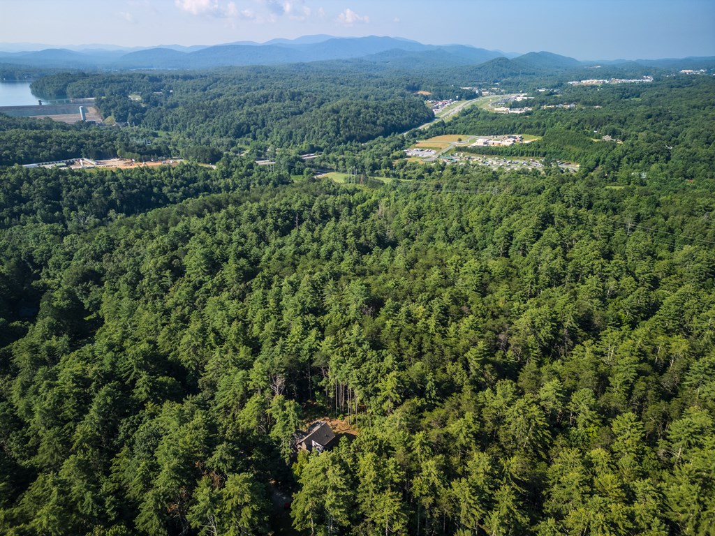 345 Deer Trail
