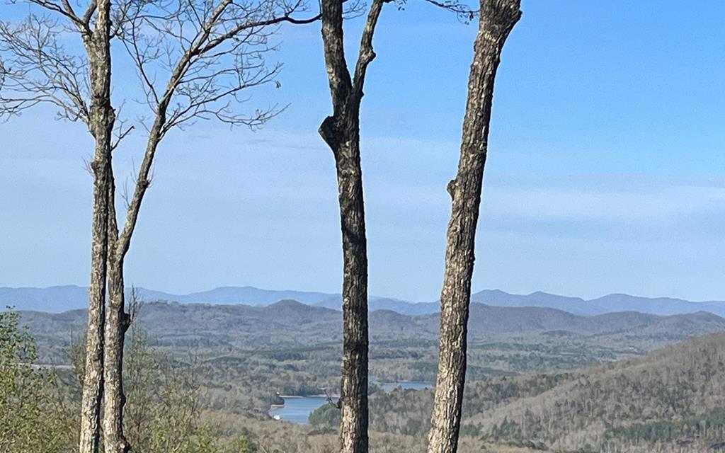 lot 118 Croft Mountain Road