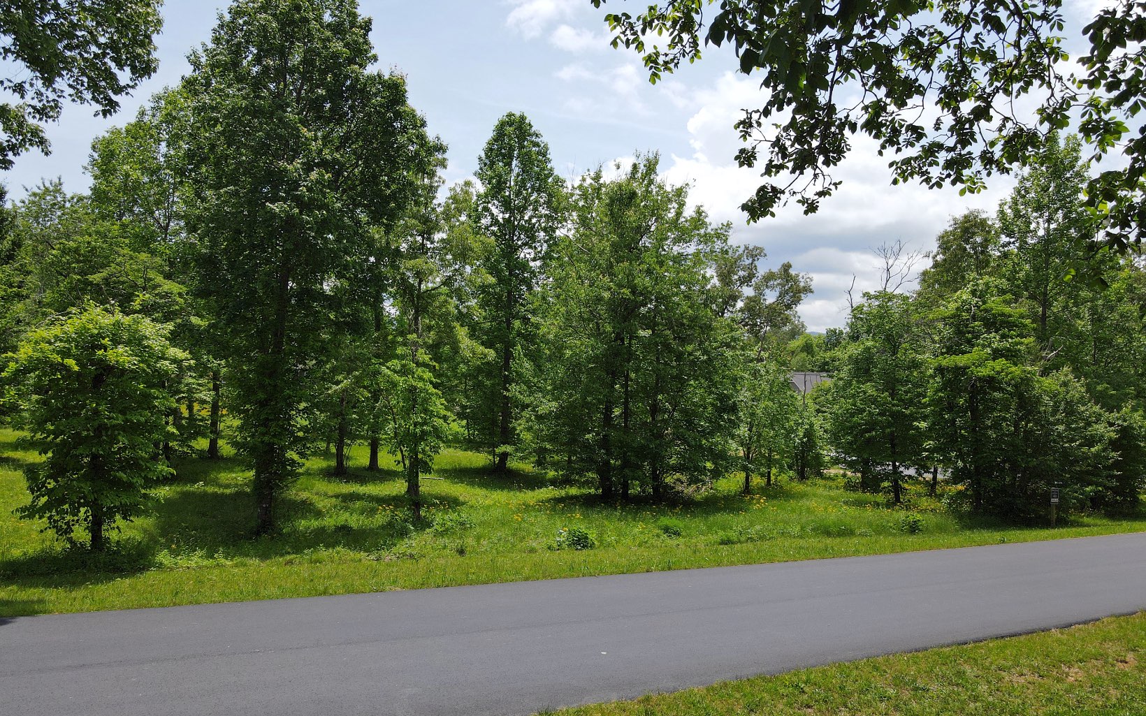 LT 43 Broad Water Court