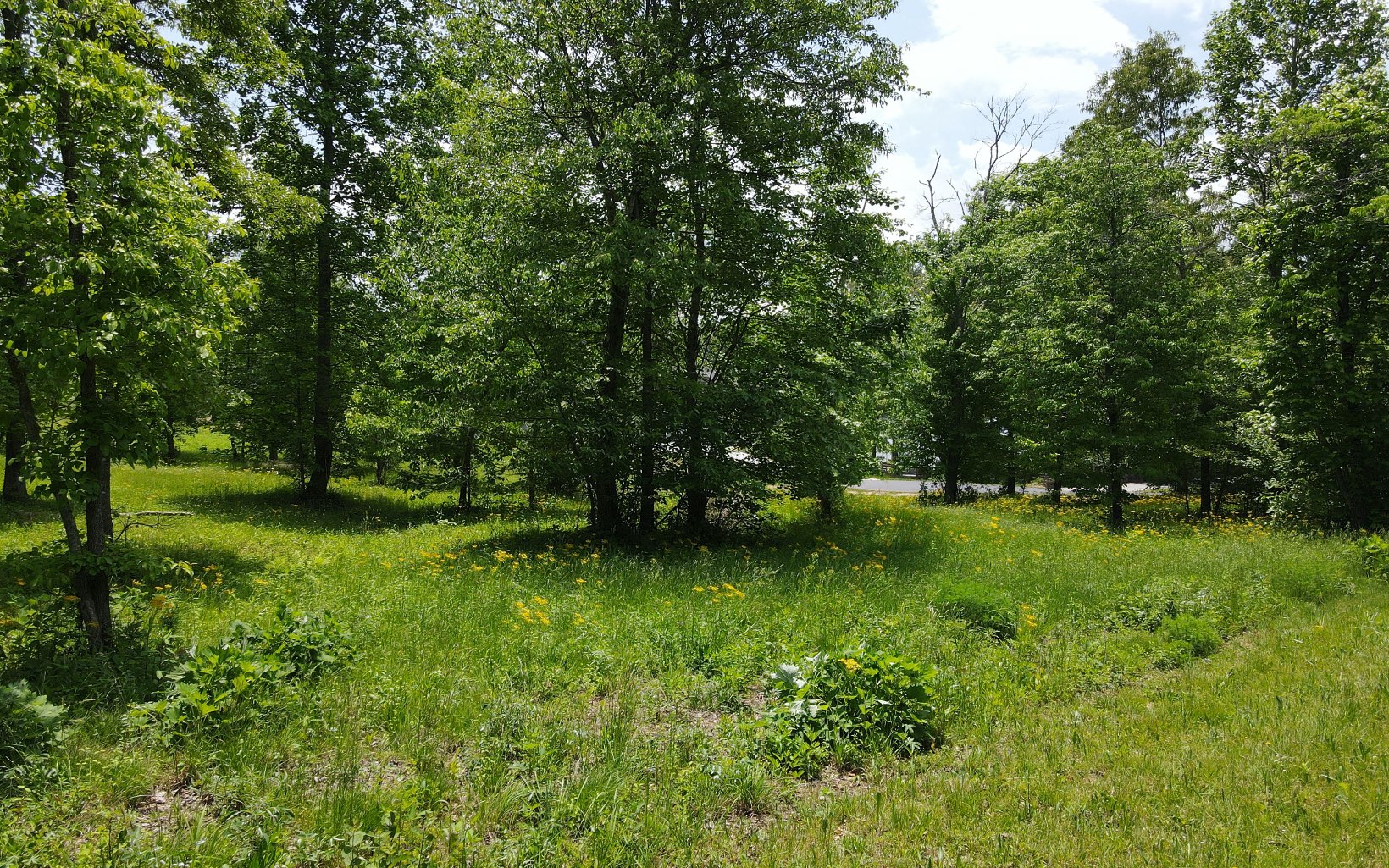 LT 43 Broad Water Court