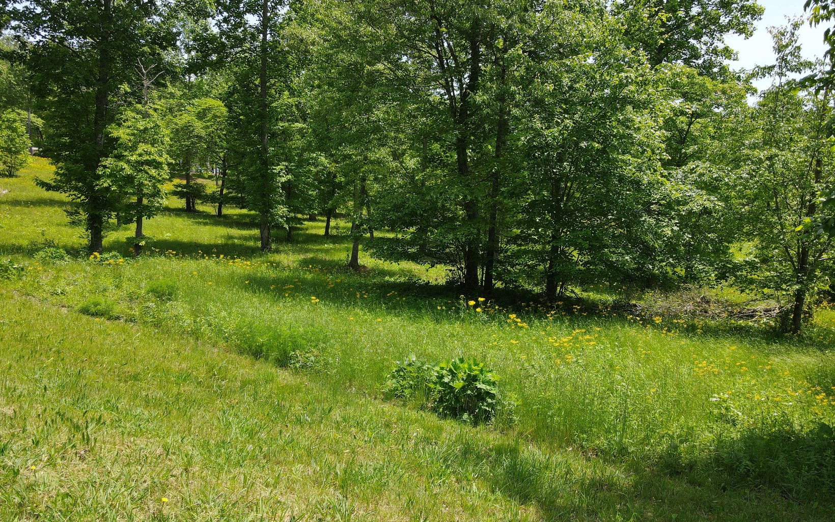 LT 43 Broad Water Court