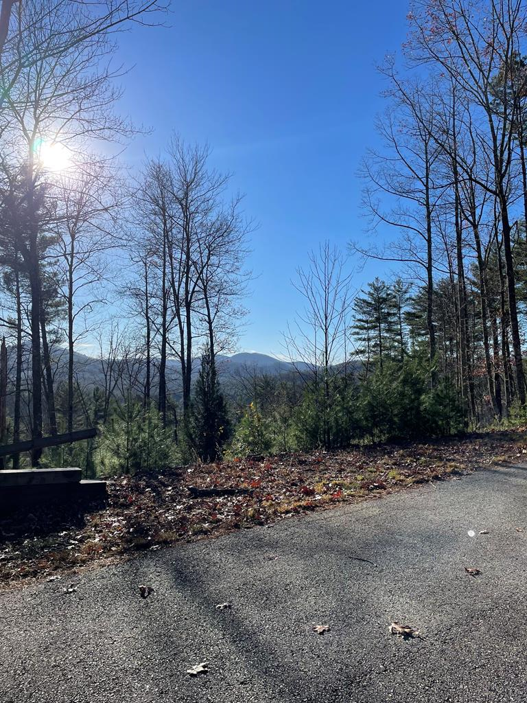 LT 62 Gobblers Knob/Laurel