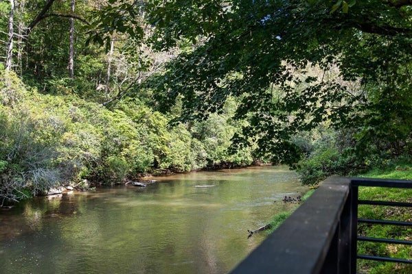 124 RIVER OAKS TER, ELLIJAY, GA 30536 - Image 93ff2cee13b3573646b2da599aa8c87e/1177303608