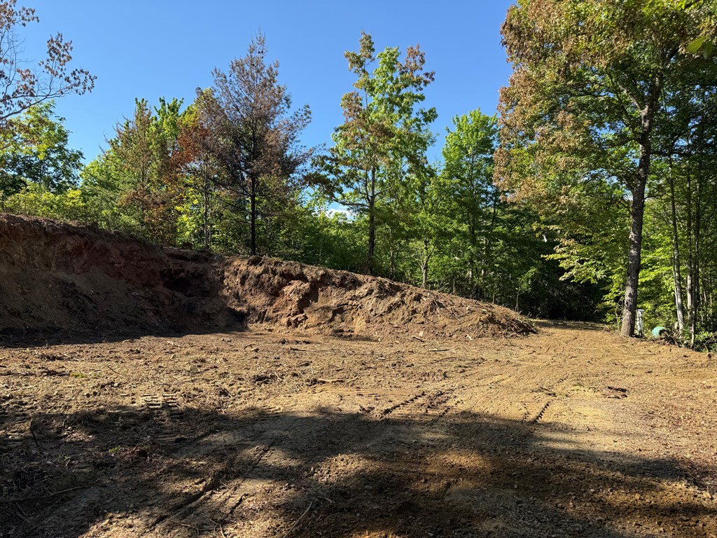 294 Shearer Ridge