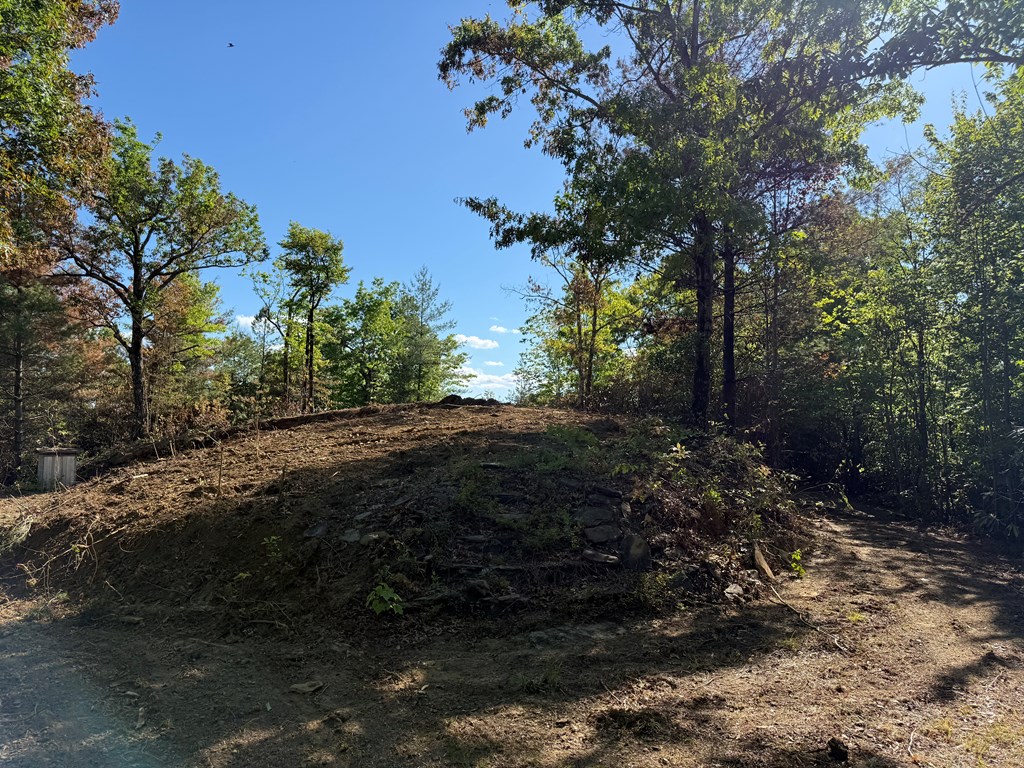294 Shearer Ridge