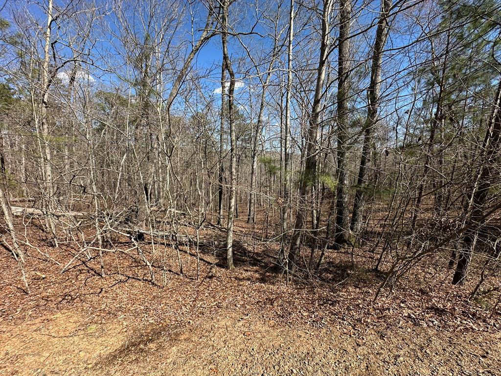 Lot 33 Harris Creek Drive