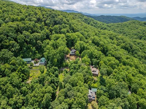 A home in Blue Ridge