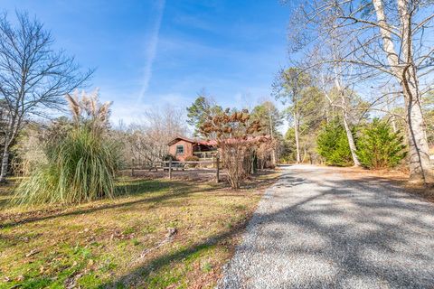 A home in Mineral Bluff