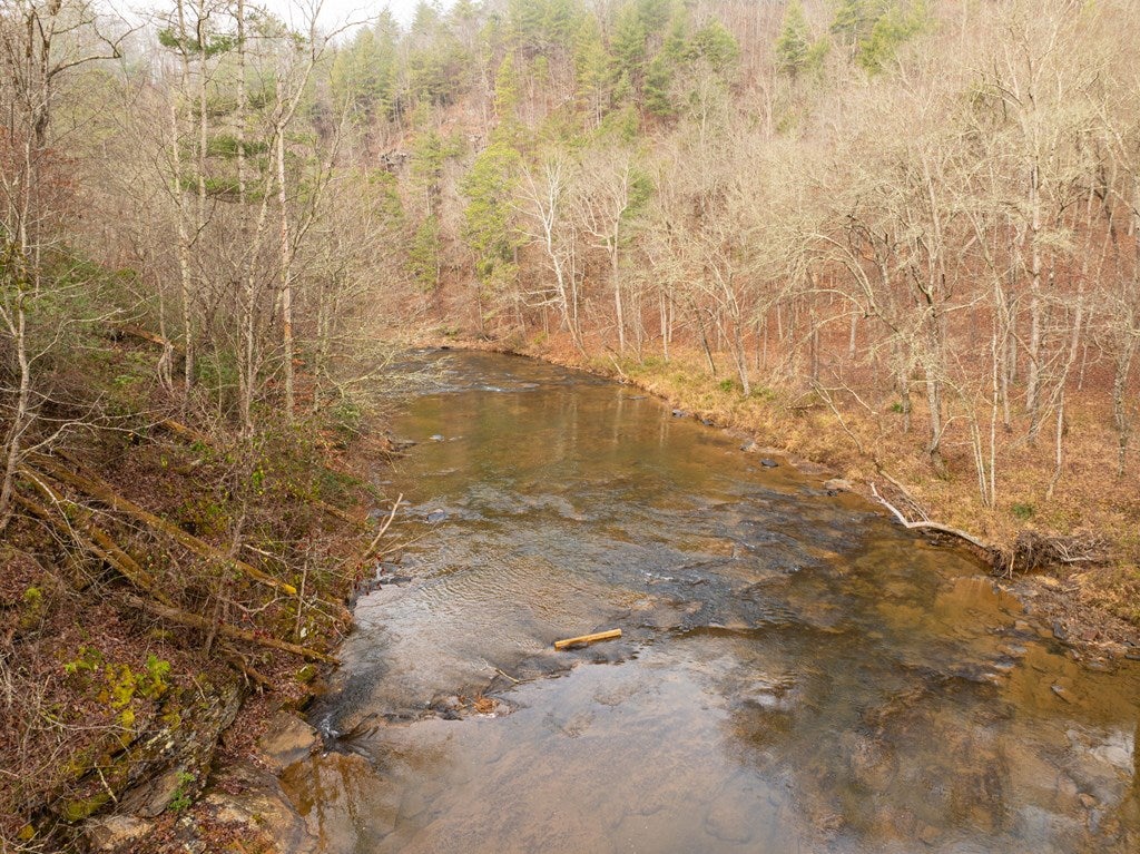 Lot 1742 Meadow Lane