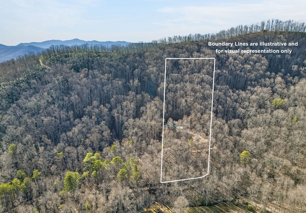 317 Collins Creek Road