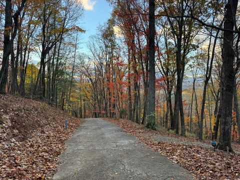 A home in Ellijay