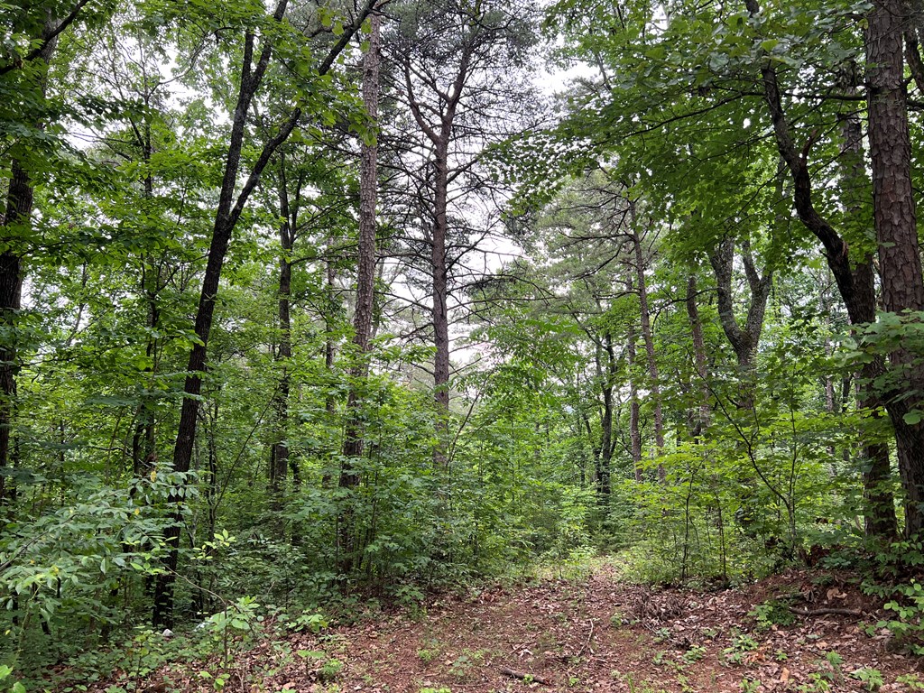 198 Log Round Mountain Trail