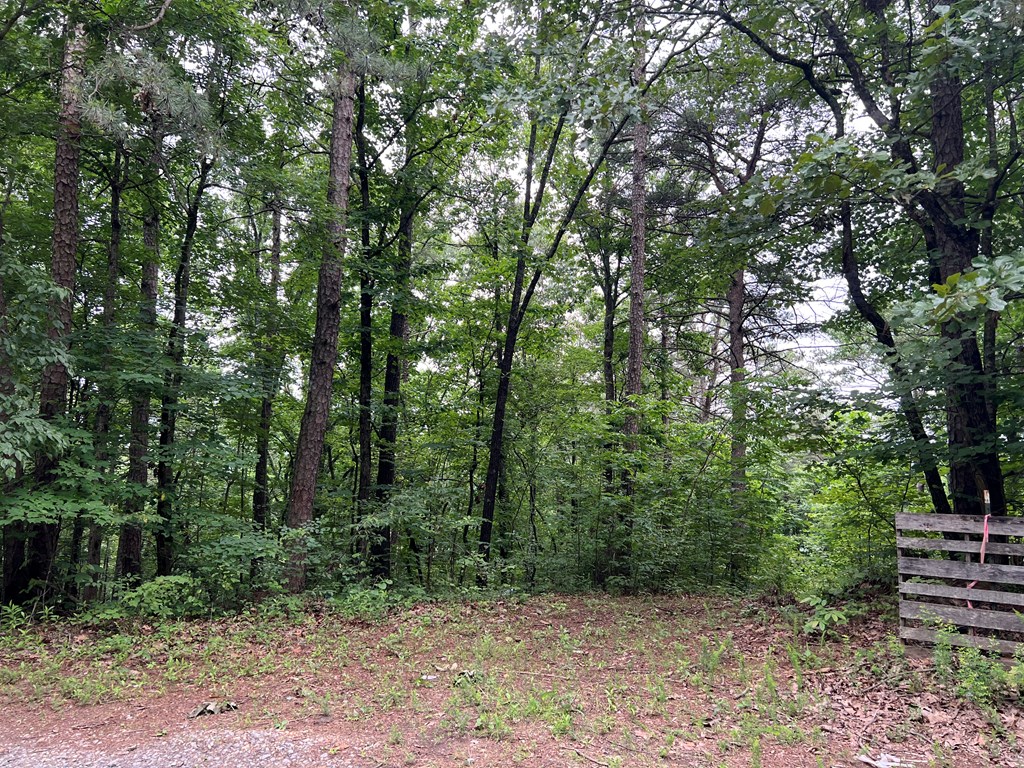 198 Log Round Mountain Trail