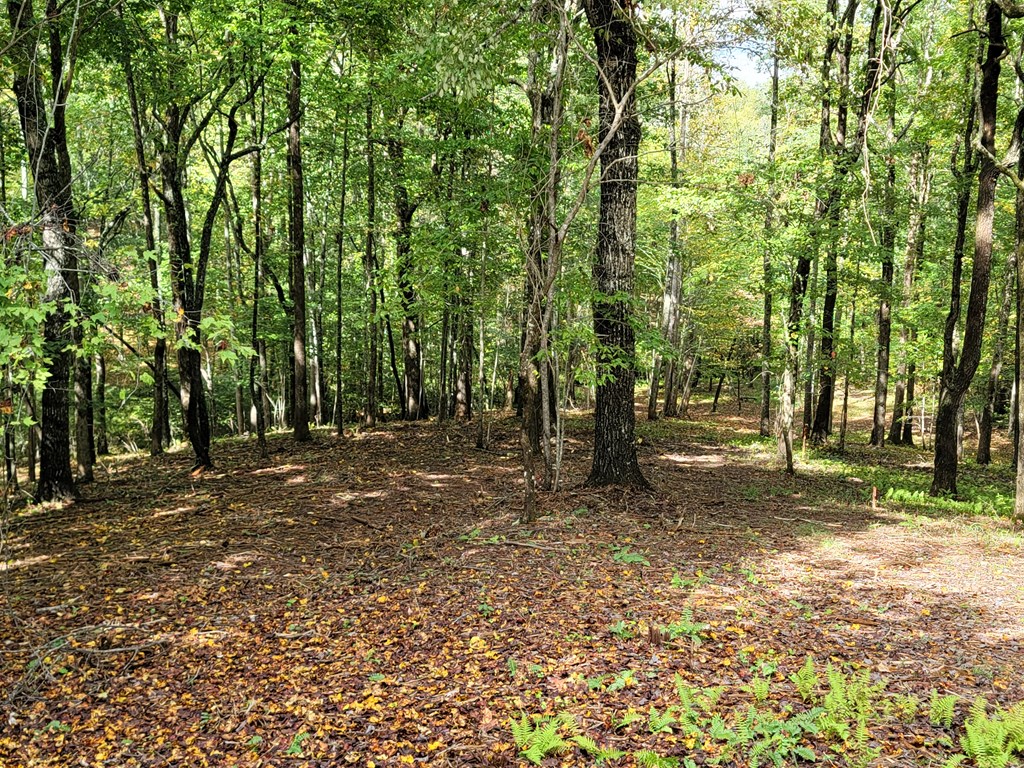 0 Arrowood Court