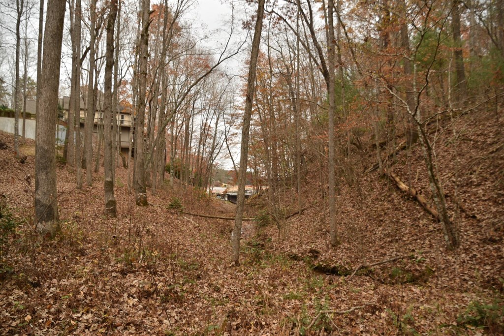 0 Arrowood Court