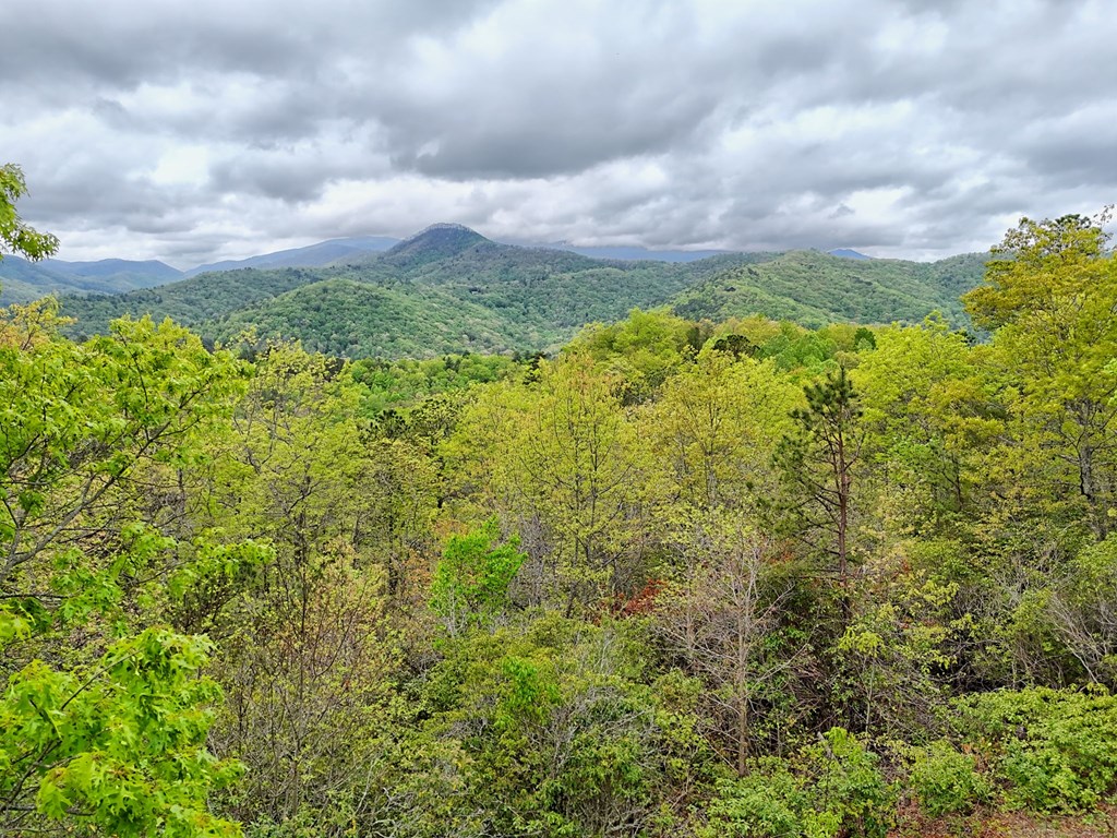 2608 The Ridges