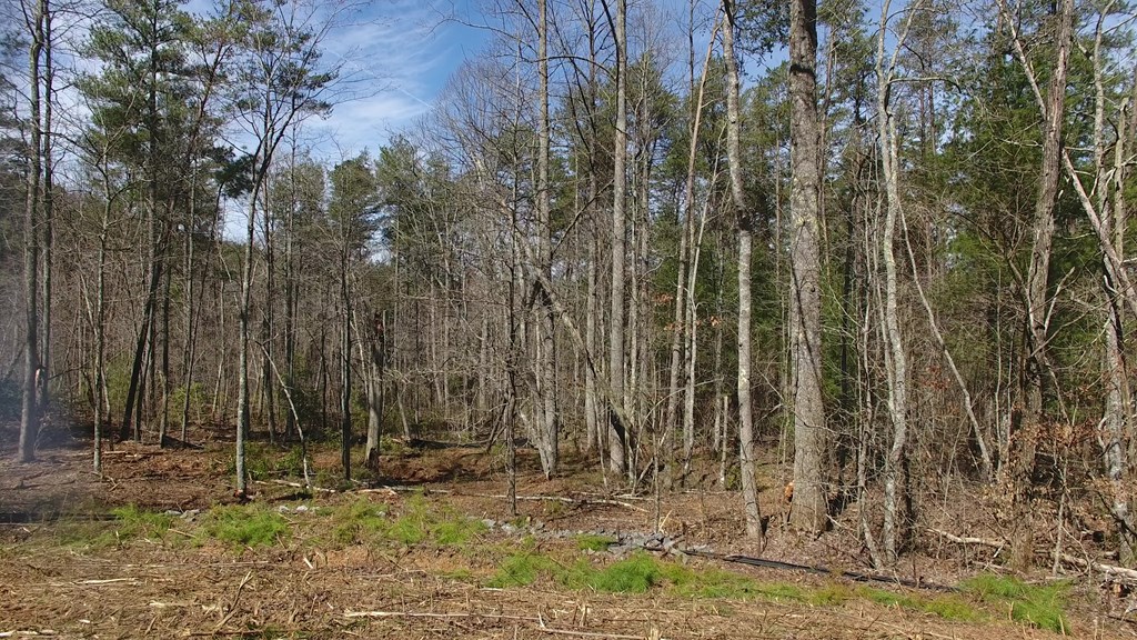 140 Autumn Fern Lane