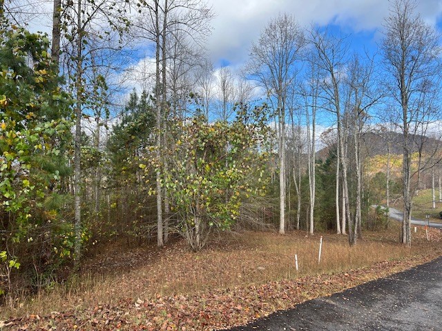 Lot 41 Meadow Brooke Drive