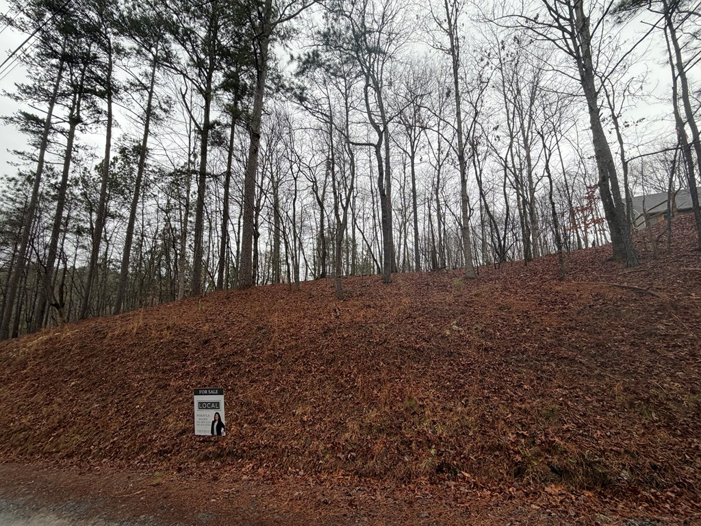 Lot 452 Joliet Drive