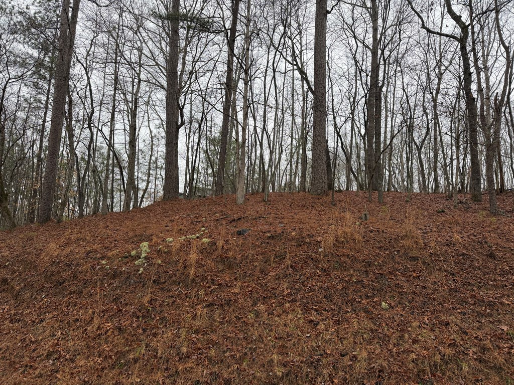 Lot 452 Joliet Drive