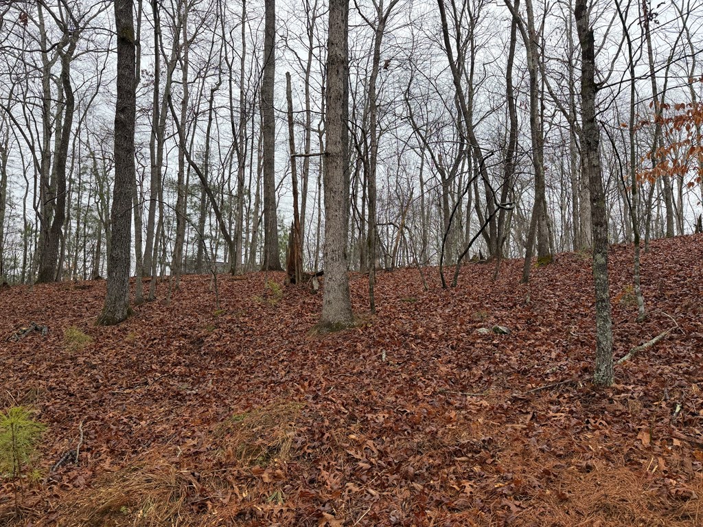 Lot 452 Joliet Drive