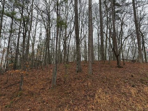 Lot 452 Joliet Drive Ellijay GA 30540
