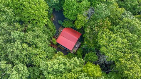 A home in Blue Ridge