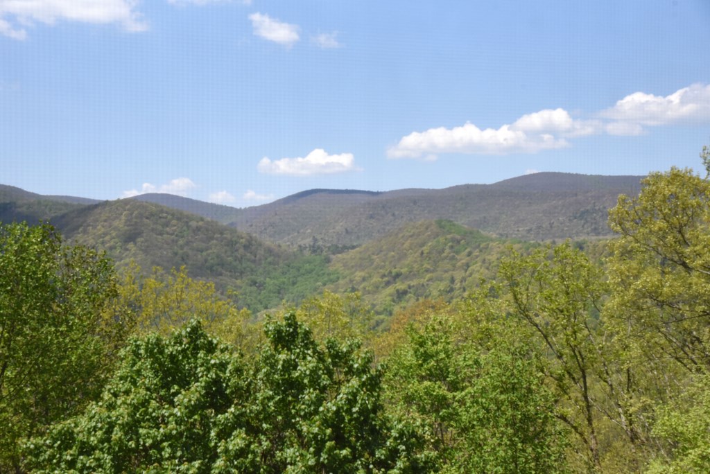 327 Prospectors Pass