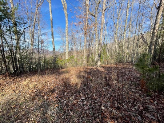 14 BIG VIEW LN, TIGER, GA 30576 - Image 953dbbc4018f3bca2fed6c74ea682f35/63479473